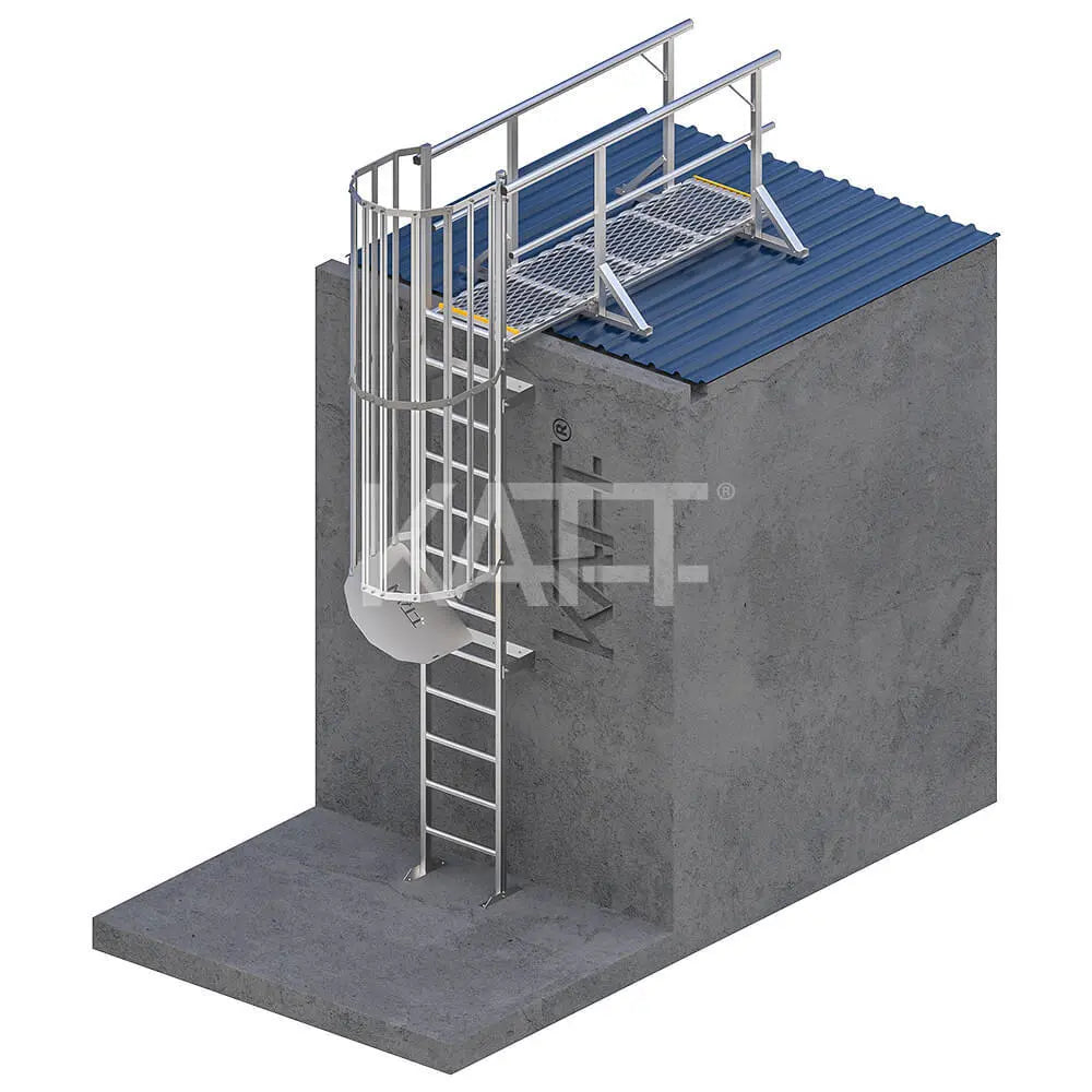 Vertical Cage Ladder with 2.4m Adjustable Access Kit Katt