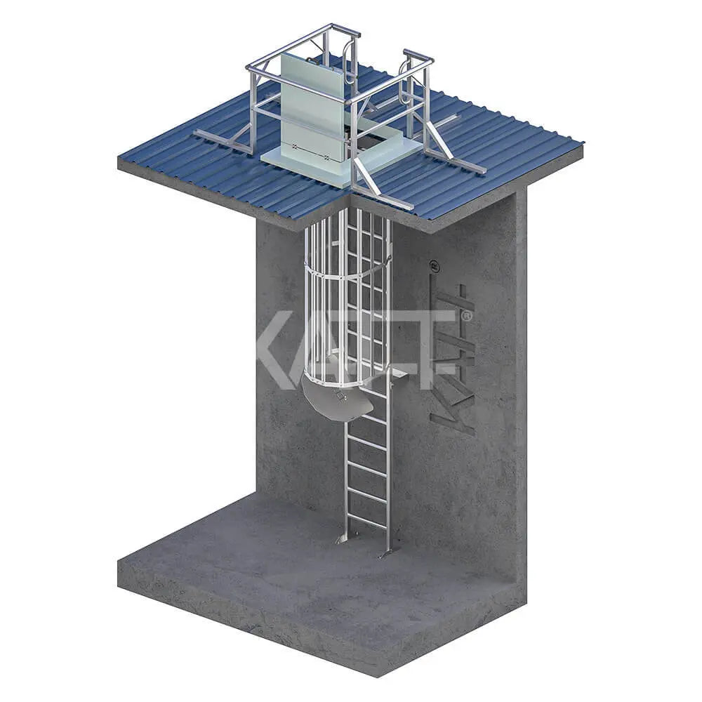 Vertical Cage Ladder - Internal Access Katt