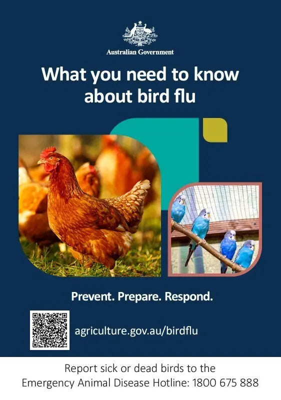 What You Need To Know About Bird Flu Sign Industro