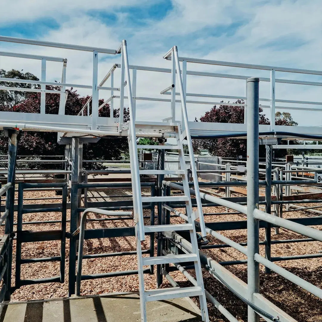 Kattsafe™ Modular Aluminium Step Ladder with 300mm Platform ALTO