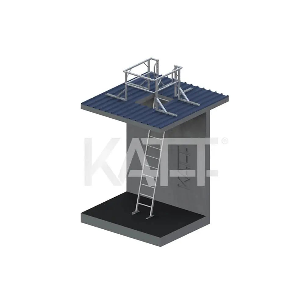 Angled Cage Ladders